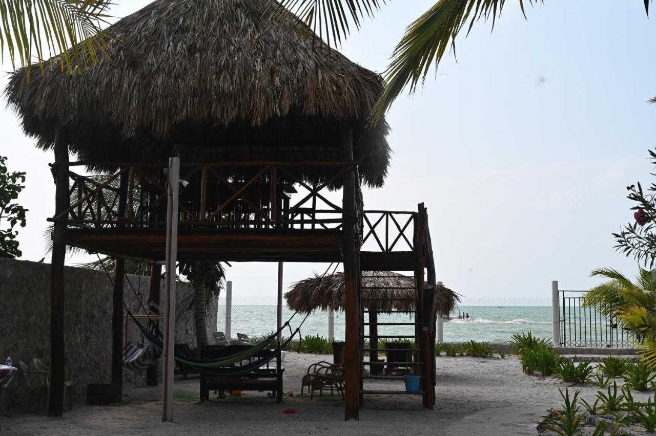 La Casa Del Mexicano سيليستون المظهر الخارجي الصورة