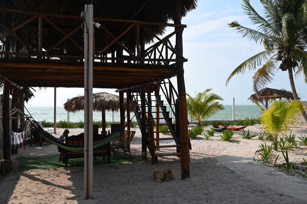 La Casa Del Mexicano سيليستون المظهر الخارجي الصورة